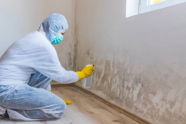 Licensed Mold Testing service in Florence, OR - WQB Mold Removal