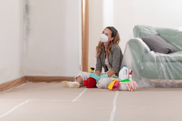 Trusted Mold Testing service in Florence, OR - WQB Mold Removal